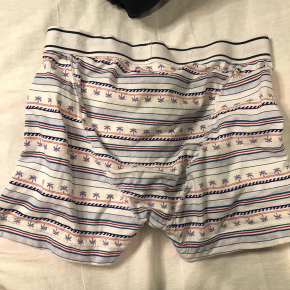 Penguin Boxer Briefs Small - Picture 4 of 7